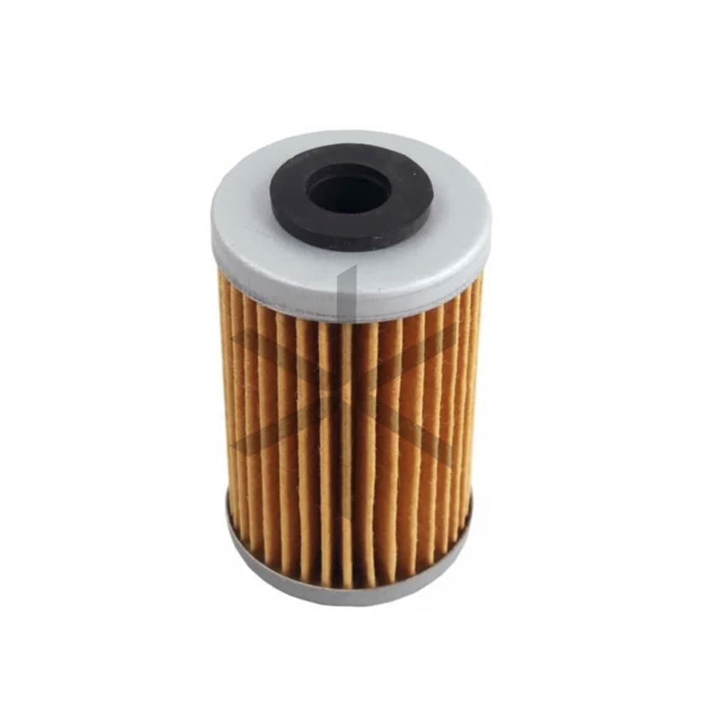 Filtro De Aceite Riffel Rouser Ns 200 - Duke 200 390