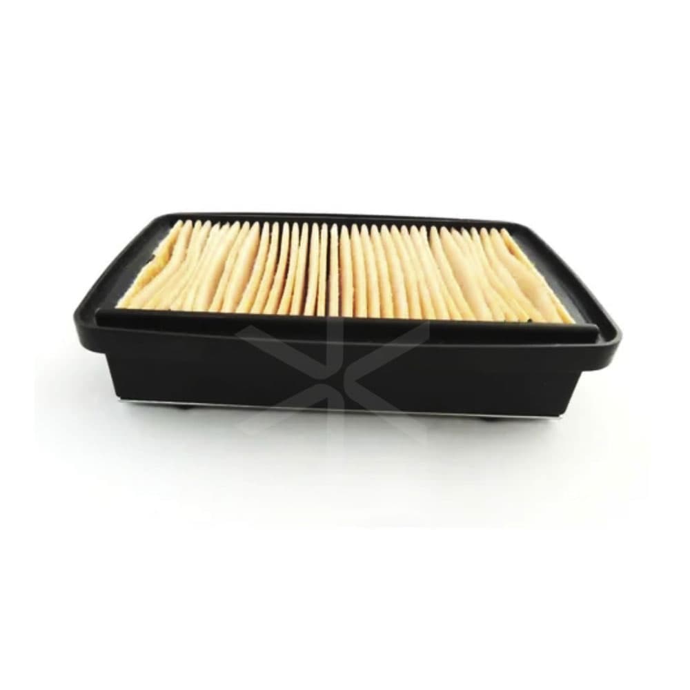 Filtro De Aire Riffel Honda Twister Cb250 (16)